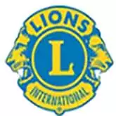 logo Lions Vidya Mandir Secondary School