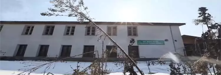 Government Nursing College