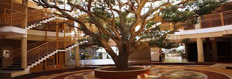 Auro Mirra International School